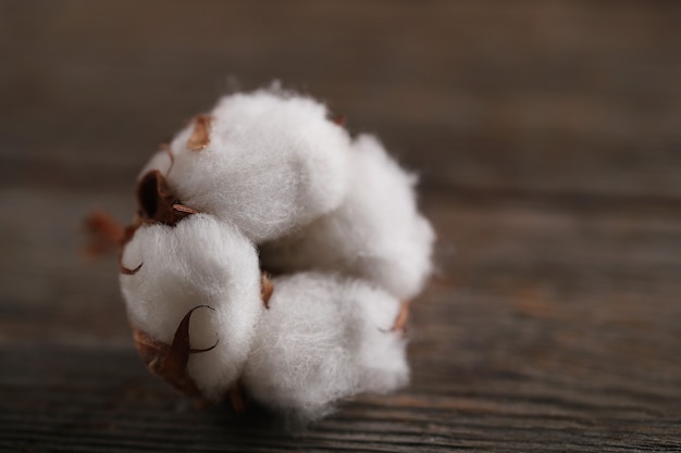 Cotton flowers