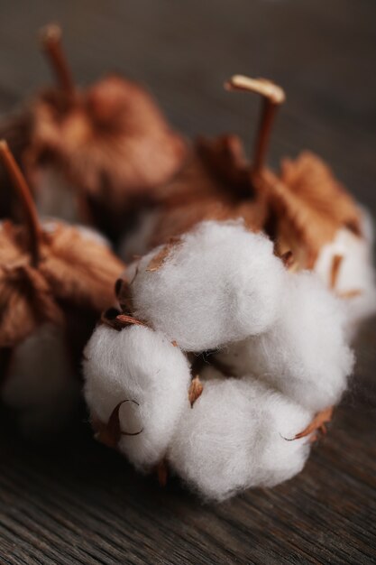 Cotton flowers