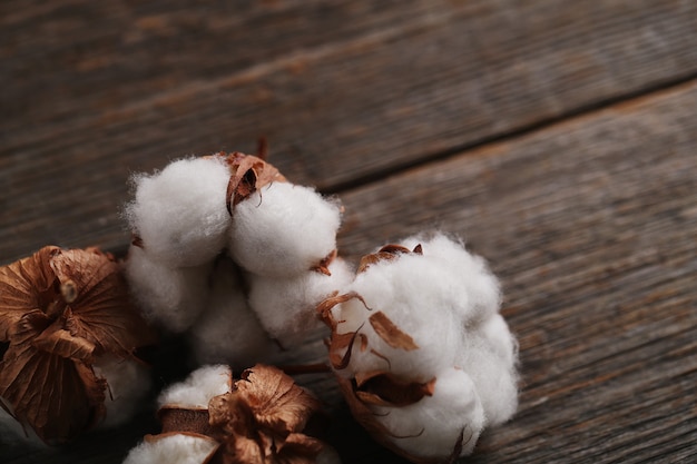 Cotton flowers