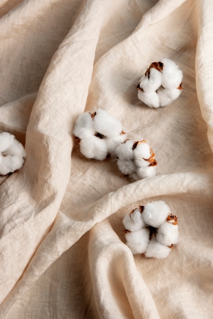 Free photo cotton plants still life