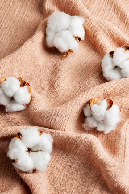 Cotton plants still life