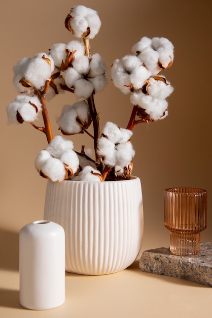 Free photo cotton plants still life