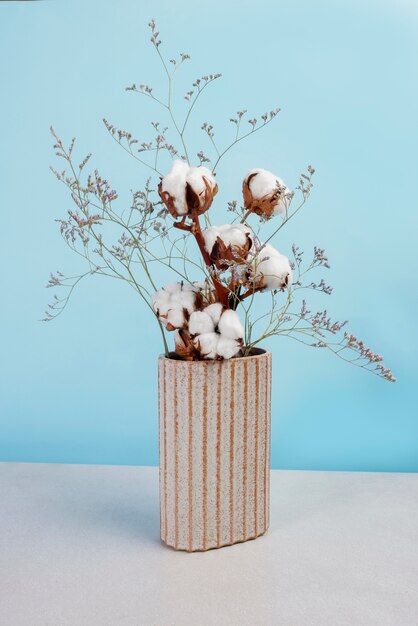 Cotton plants still life