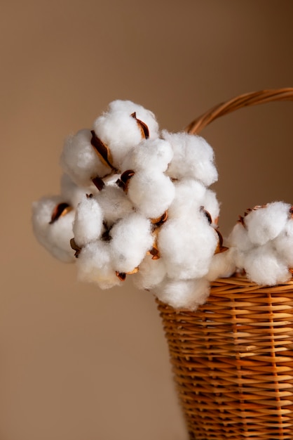 Free photo cotton plants still life