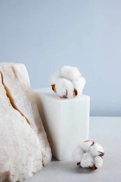 Free photo cotton plants still life