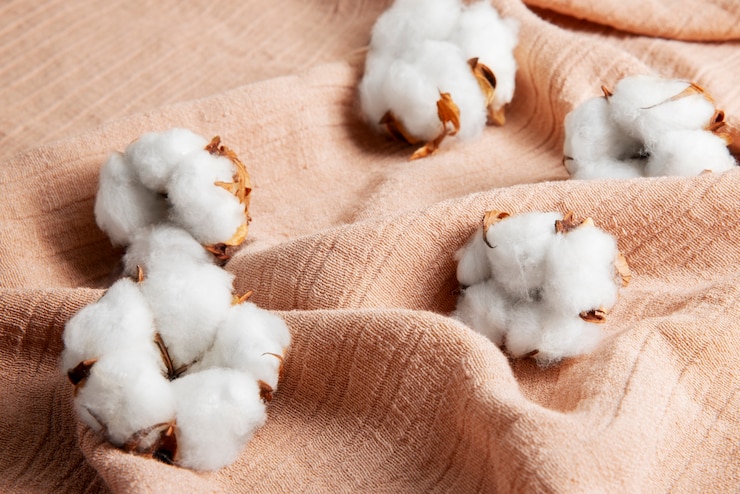 Free Photo cotton plants still life