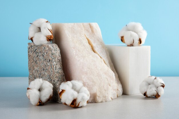 Cotton plants still life