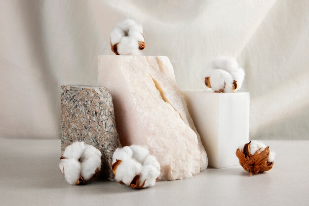 Cotton plants still life