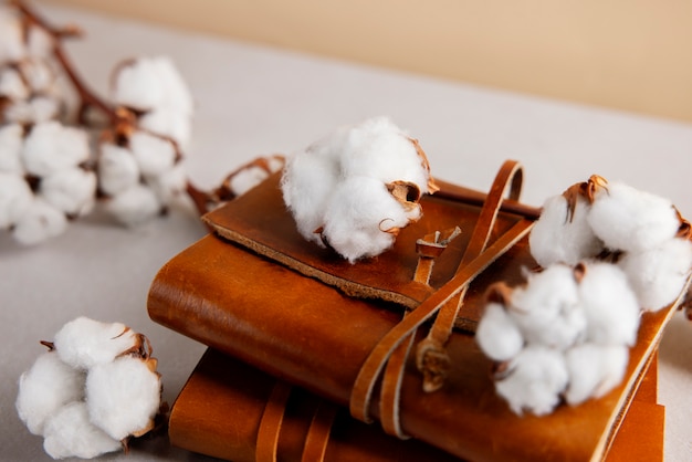 Free photo cotton plants still life