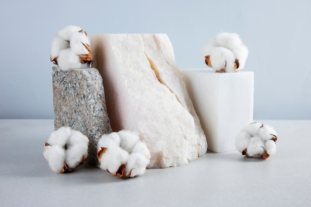 Cotton plants still life