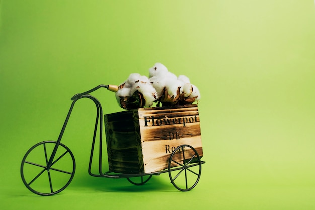 Cotton pod on an antique bicycle against green background