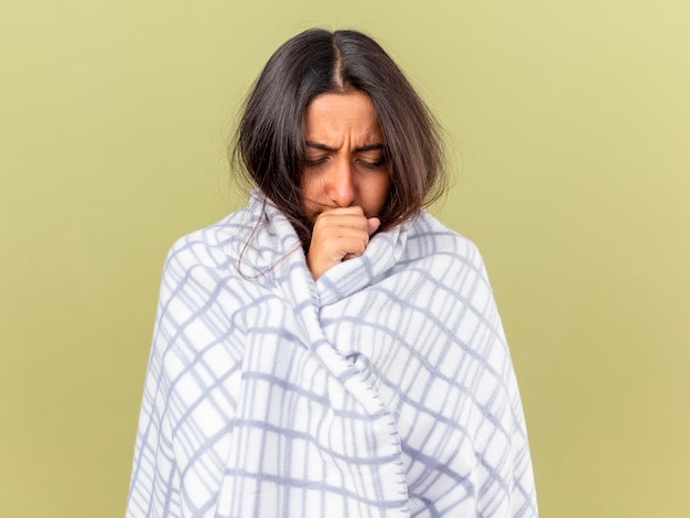 Coughing young ill girl wrapped in plaid putting hand on mouth isolated on olive green background