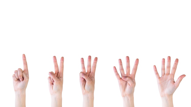 Counting hands from one to five on white background