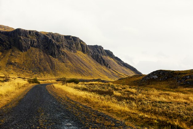 Country road