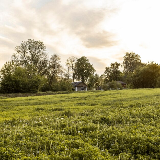 Countryside farm landscape