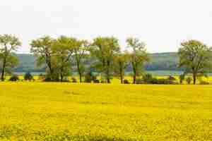 Free photo countryside farm landscape