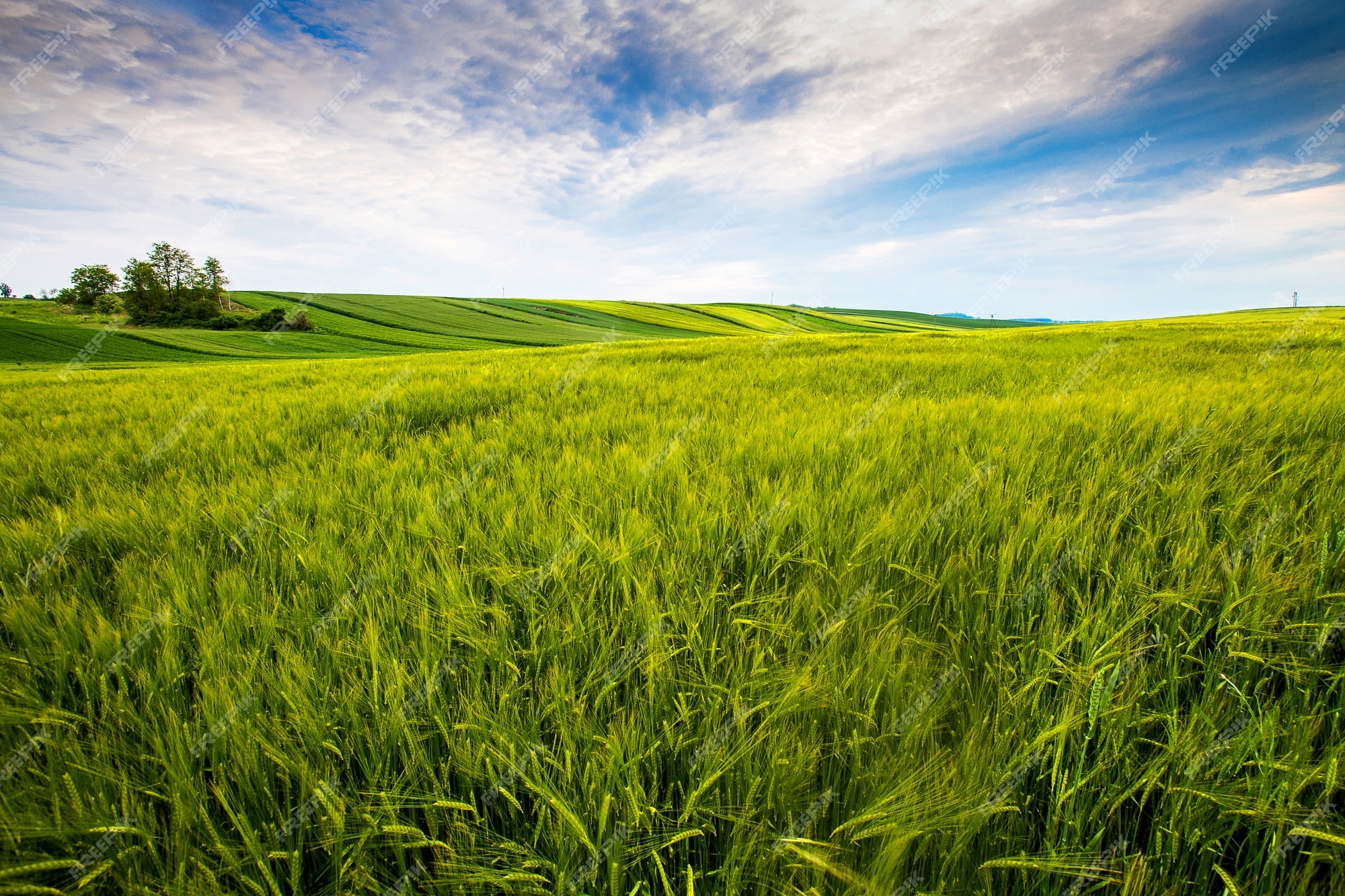 Green Farm Background Images - Free Download on Freepik