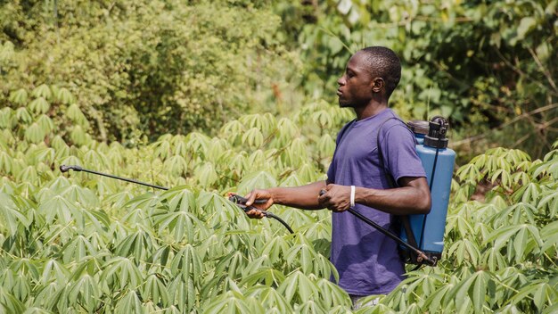Countryside man disinfecting the field