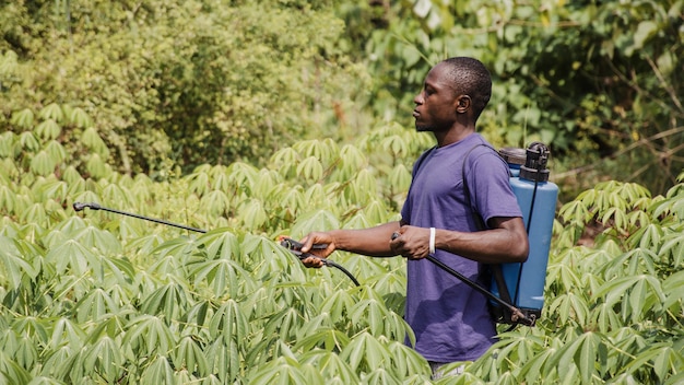 countryside man disinfecting the field