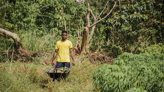 Countryside man pushing a wheelbarrow