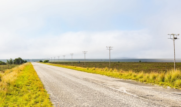 Countryside road through fields