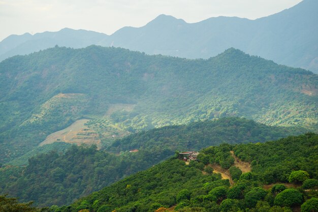 Countryside with fruit trees