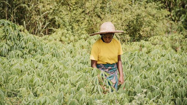 Countryside woman out in the field