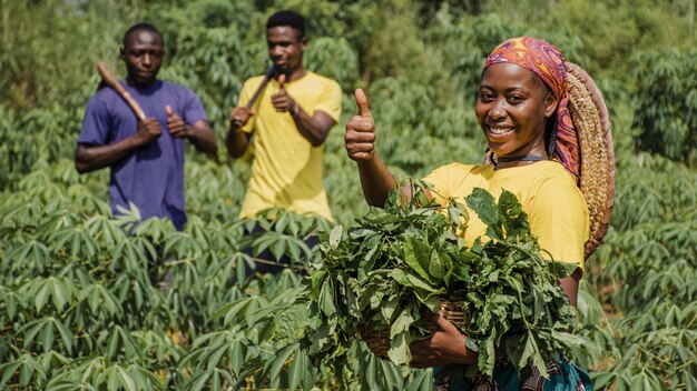 Countryside workers out in the field