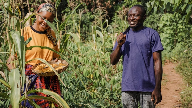 countryside workers together in the field