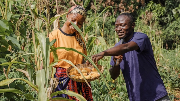 Countryside workers together in the field