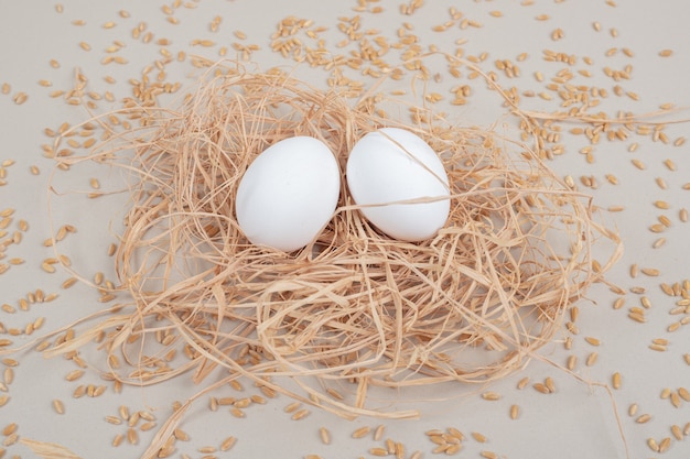 Couple brown chicken egg on white background. High quality photo