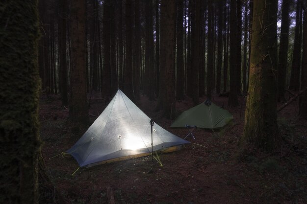 Couple of camping tents mounted in the middle of the woods