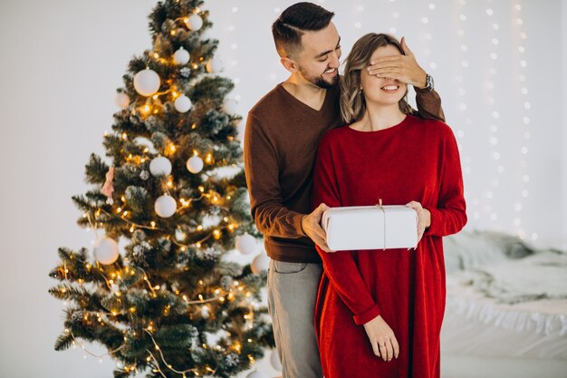 Couple celebrating christmas together