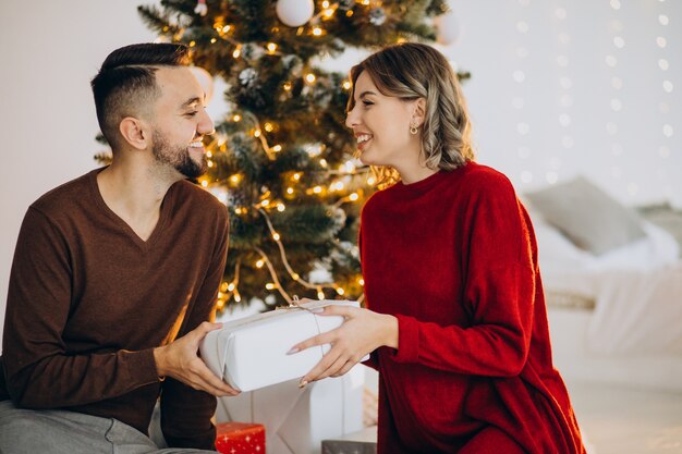 Couple celebrating christmas together