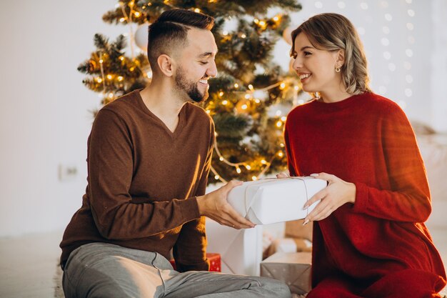 Coppie che celebrano insieme il natale