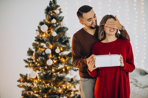 Couple celebrating christmas together