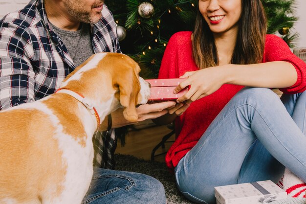 犬と一緒にクリスマスを祝うカップル