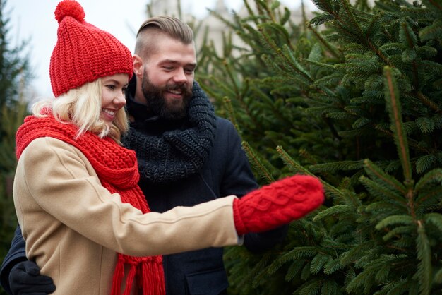 Couple chooses the perfect Christmas tree