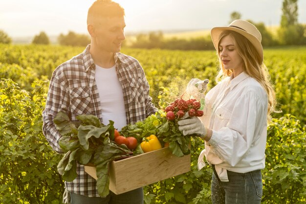 Couple collecting vegetables