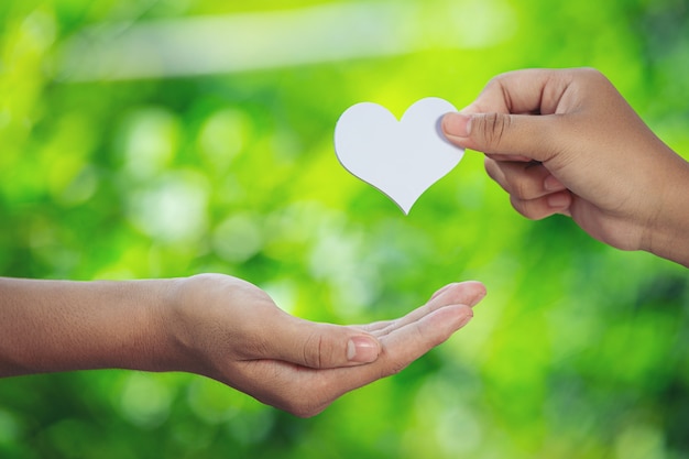 Free photo couple holding hands in green meadow.