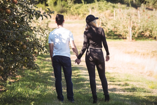 Couple holding hands and looking at apple orchard
