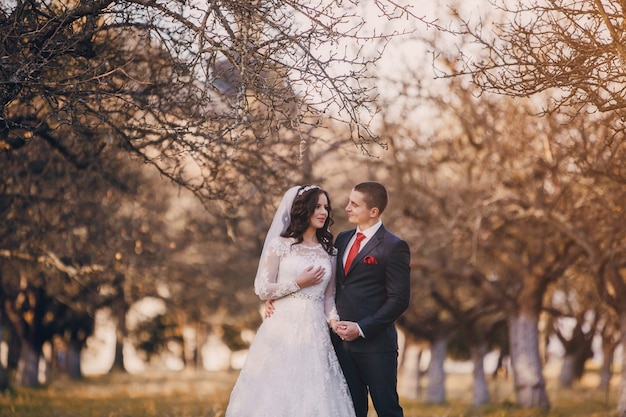 Couple under a leafless tree