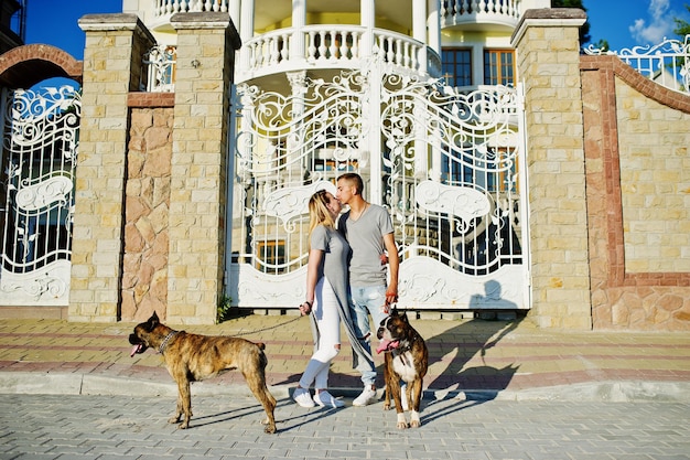 Влюбленная пара с двумя собаками питбультерьера на прогулке