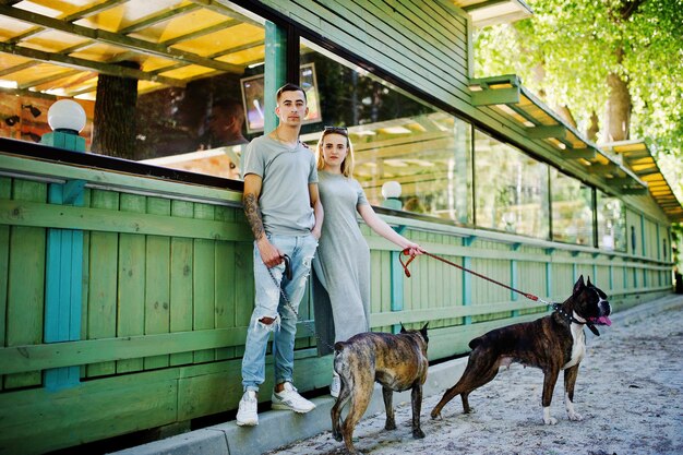 Couple in love with two dogs pit bull terrier on a walk