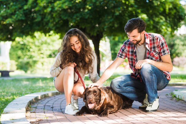 Couple stroking their dog in park