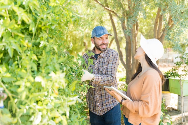 채소밭에서 디지털 태블릿으로 식물을 조사하면서 이야기하는 커플