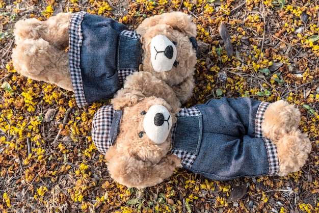 Couple teddy bears rest on ground