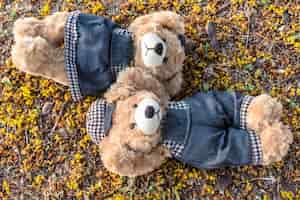 Free photo couple teddy bears rest on ground