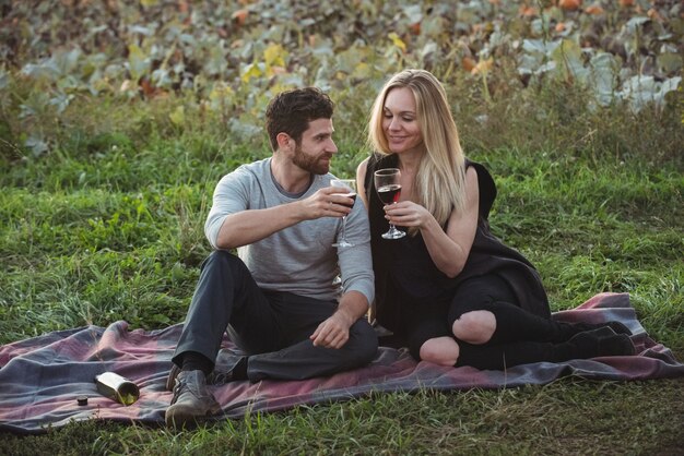 Couple toasting a glass of red wine in field