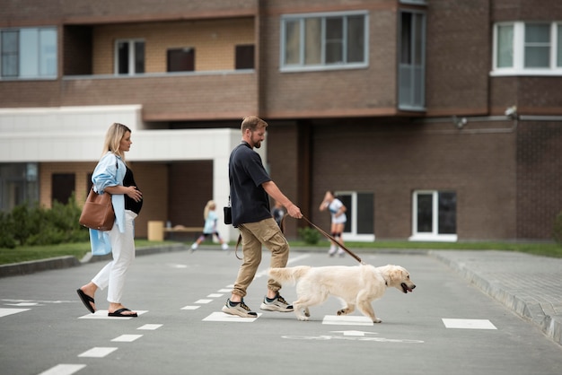 Foto gratuita coppia di cani che camminano a tutto campo